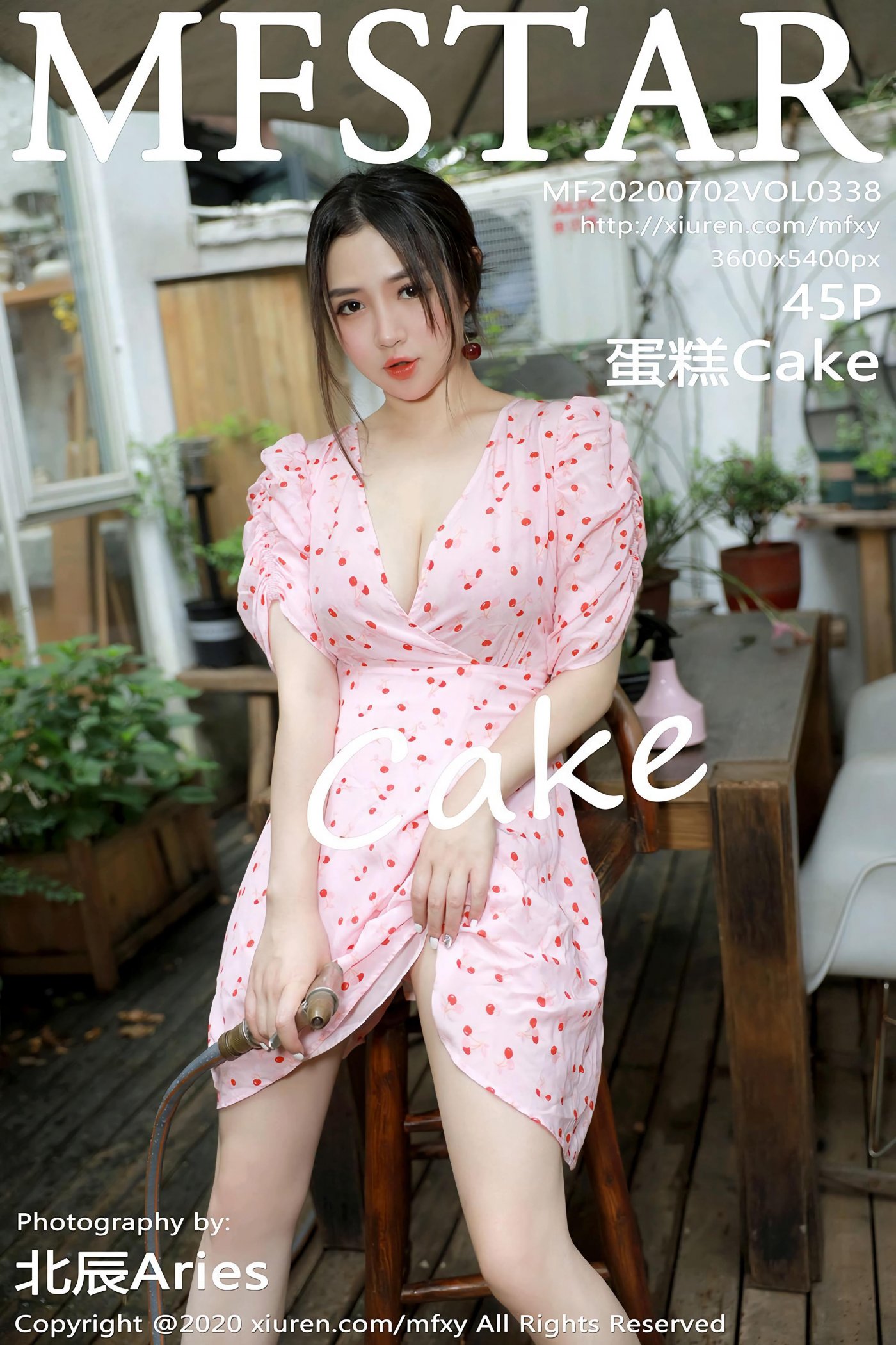 蛋糕CakeVol. 0338