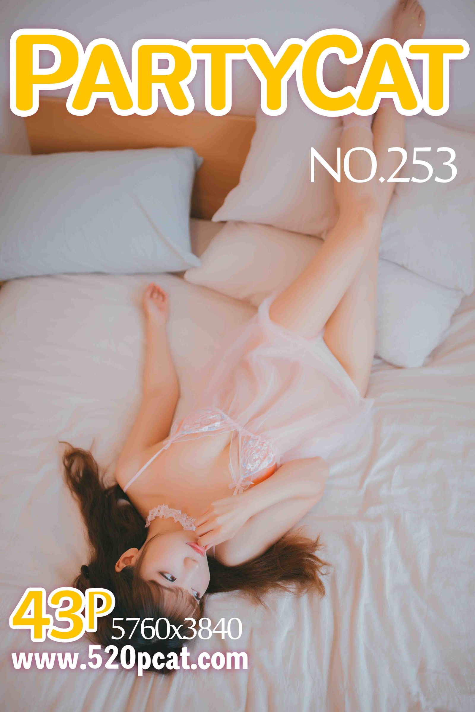 NO.253Vol. 253