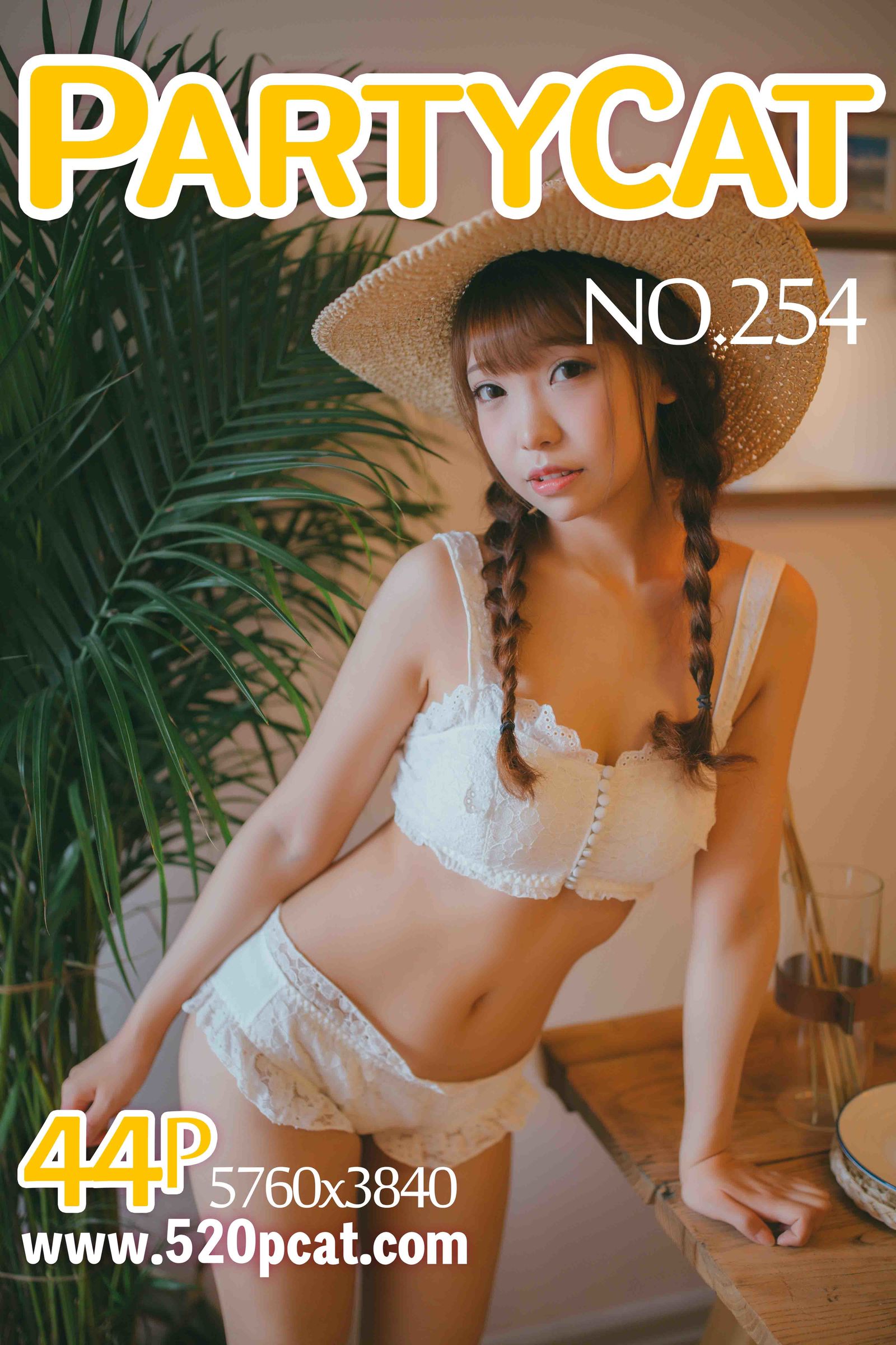NO.254Vol. 254