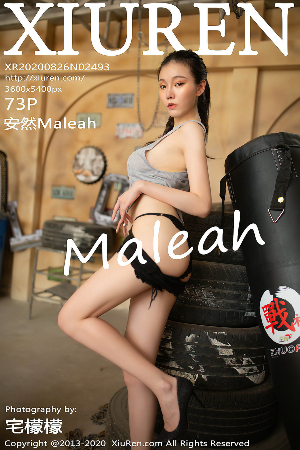 安然MaleahVol. 2493
