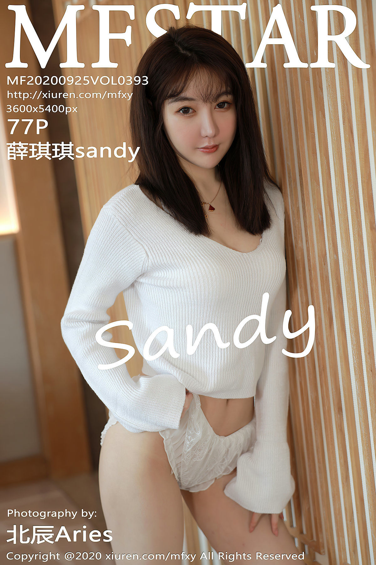 薛琪琪sandyVol. 0393
