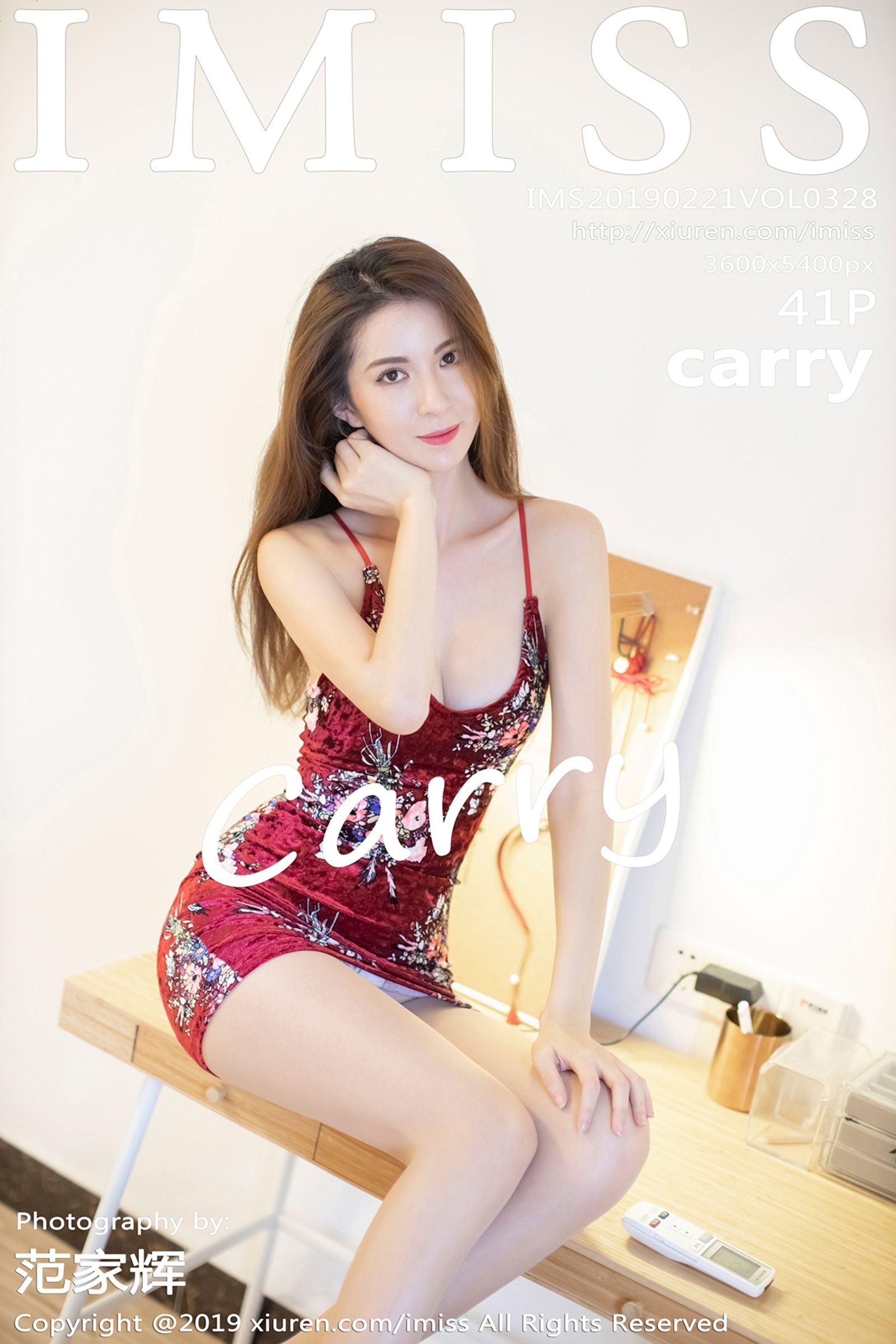 CarryVol. 0328