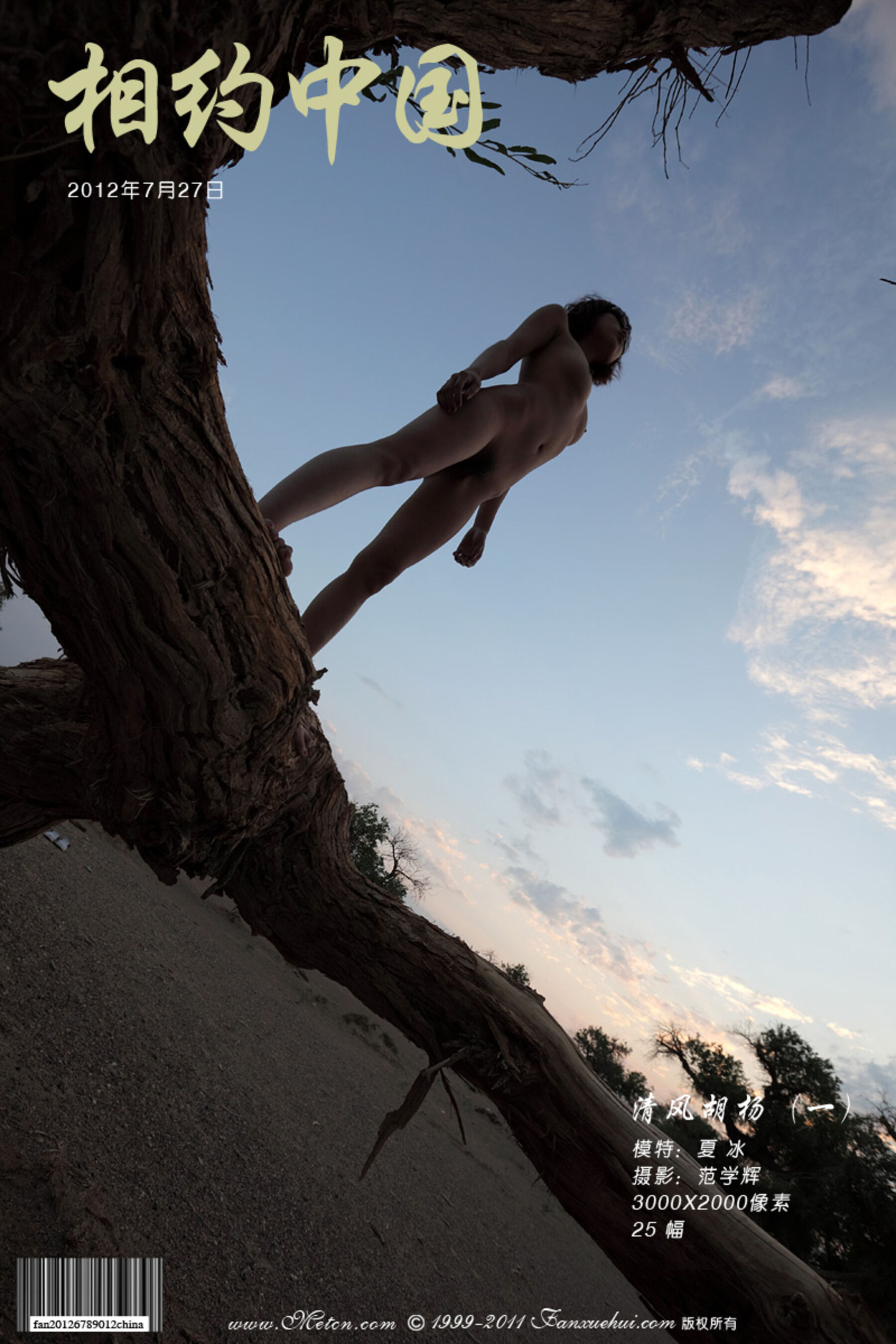 夏冰《清风胡杨 1》