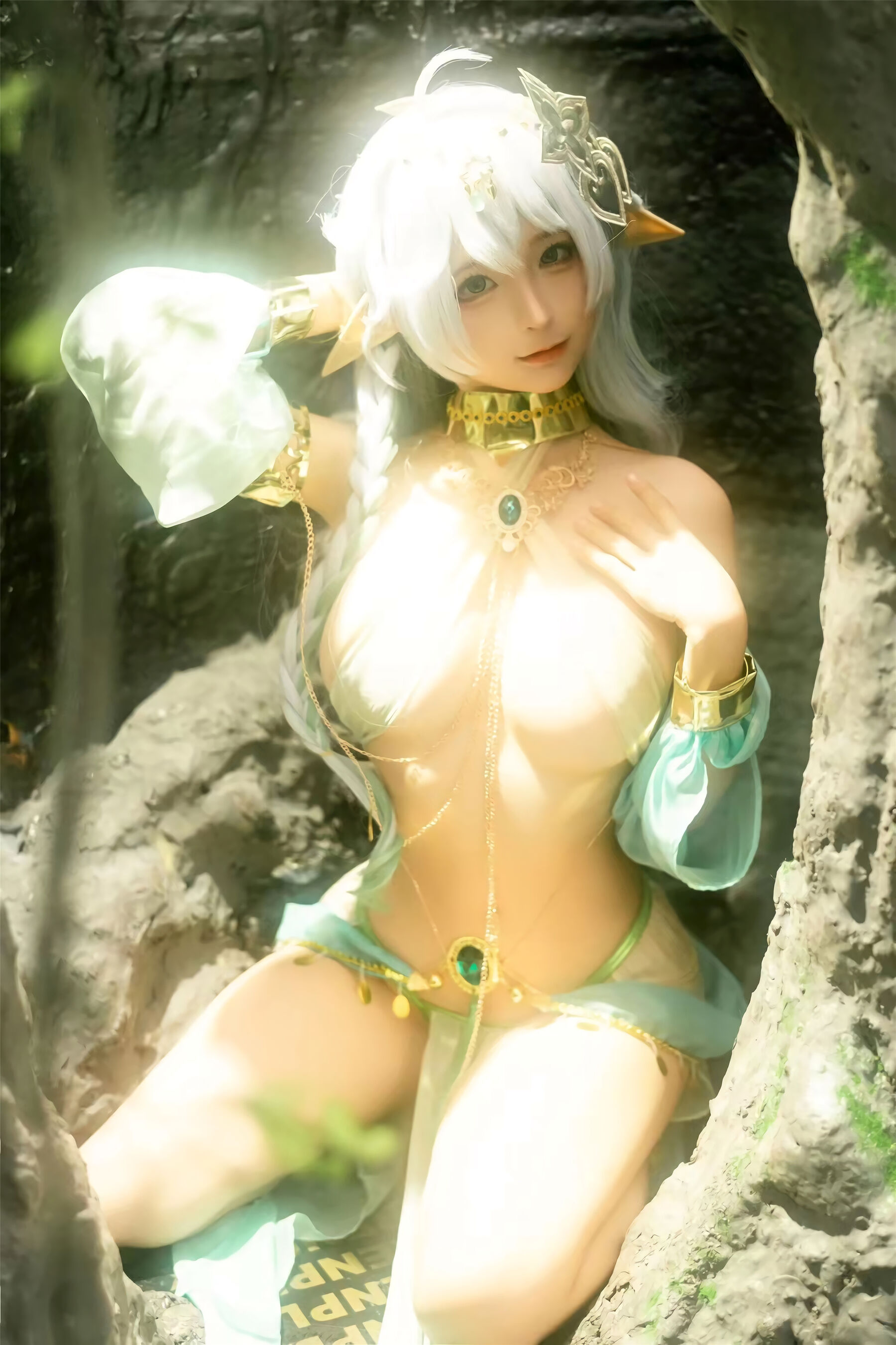 蠢沫沫《大慈树王》