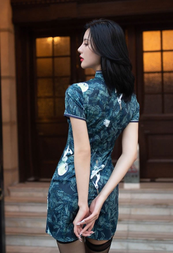 多情少妇阿朱韵味旗袍妩媚万千惹人怜